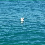 DSC_0080.jpg
