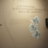 DSC_0047.jpg