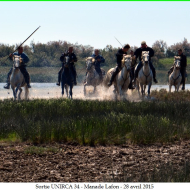 DSC_0005.jpg