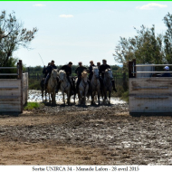 DSC_0056.jpg