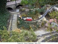 DSC_0187.jpg