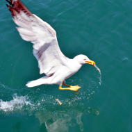 DSC_0041.jpg
