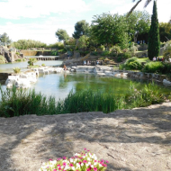 DSCN1646.jpg