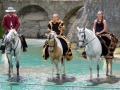 DSCN1599.jpg