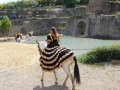 DSCN1614.jpg