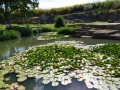 DSCN1622.jpg
