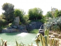 DSCN1636.jpg