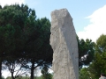 DSCN1641.jpg