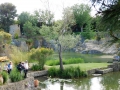 DSCN1642.jpg