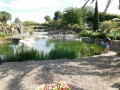 DSCN1646.jpg