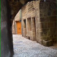 Sortie-Joyeuse-17-10-2026-13