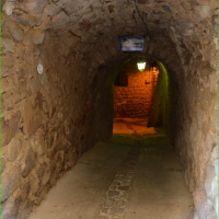 Sortie-Joyeuse-17-10-2026-45
